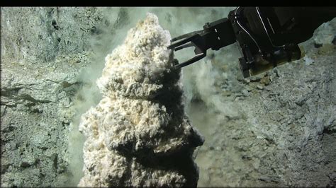 the lost city|Diving Deep to Reveal the Microbial Mysteries of Lost City.